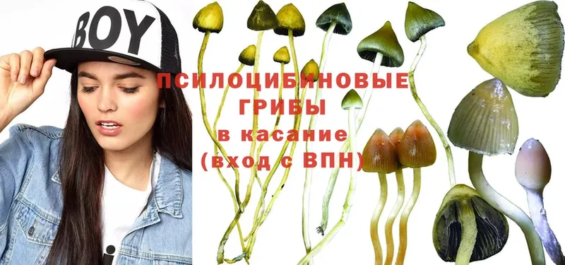 Галлюциногенные грибы Magic Shrooms  Гусь-Хрустальный 